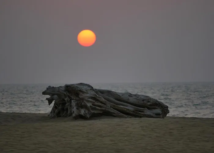 Elements Beach & Nature Resort