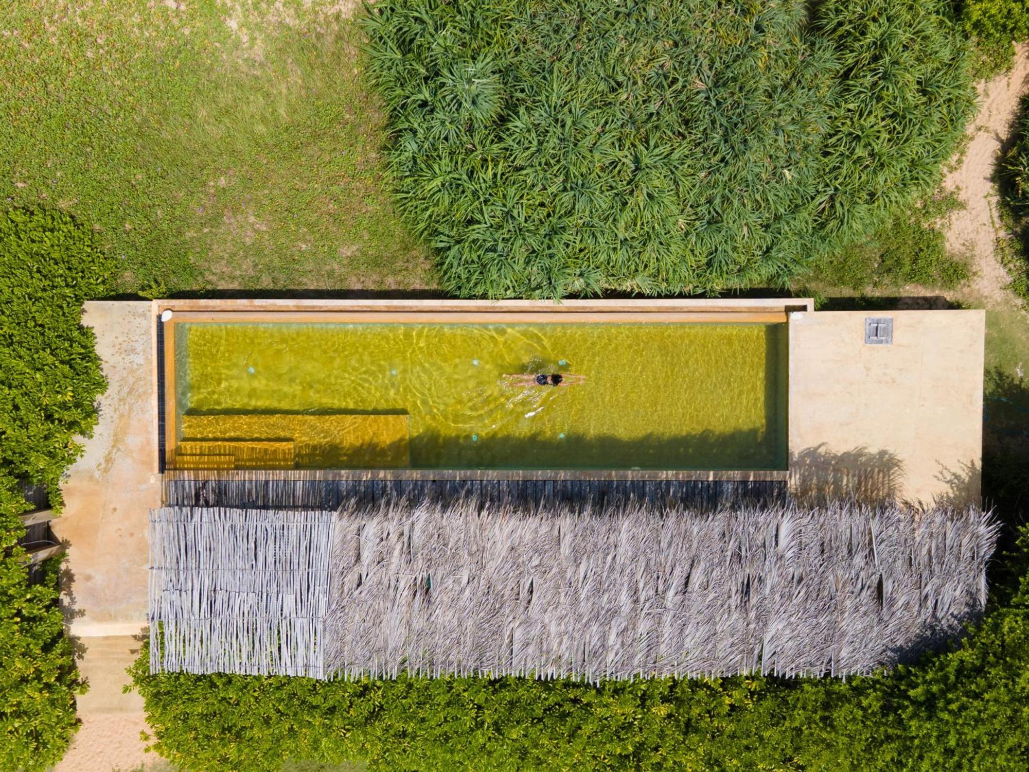 Elements & Nature Калпития